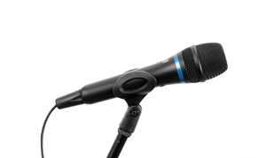 Mic