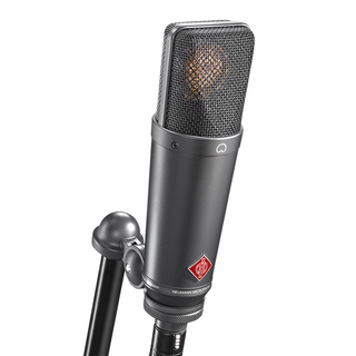 Neumann TLM 193 Large-Diaphragm Cardioid Studio Condenser Microphone