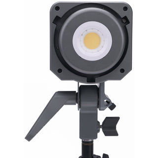 Amaran 100D S Daylight LED Monolight