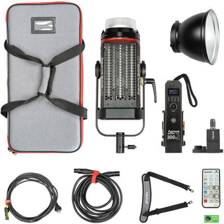 Aputure Light Storm LS C300D II LED Light Kit with V-Mount Battery Plate