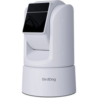 BirdDog O4 Outdoor PTZ Camera with 30x Optical Zoom (White)