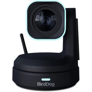 BirdDog X1 PTZ Camera with 30x Zoom (Black)