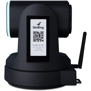 BirdDog X1 PTZ Camera with 30x Zoom (Black)