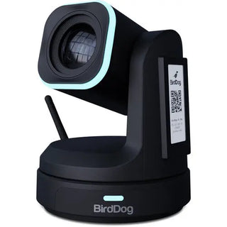 BirdDog X1 PTZ Camera with 30x Zoom (Black)