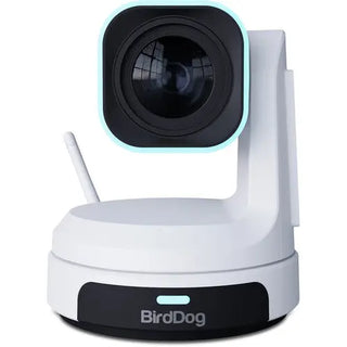 BirdDog X1 PTZ Camera with 30x Zoom (White)