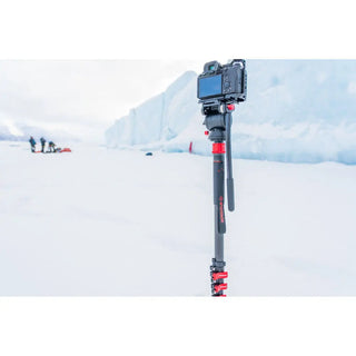 iFootage Cobra 3 C180F-P Carbon Fiber Monopod with Pedal-Release Mini Tripod Base and K5S Fluid Head