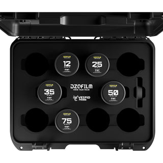 DZOFilm VESPID Prime 5-Lens Kit (ARRI PL & Canon EF)
