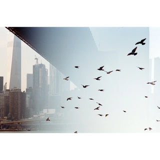 Kodak Professional Portra 400 Color Negative Film (35mm Roll Film, 36 Exposures, 5-Pack)