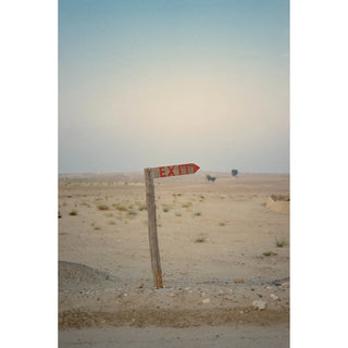 Kodak Professional Portra 400 Color Negative Film (35mm Roll Film, 36 Exposures, 5-Pack)