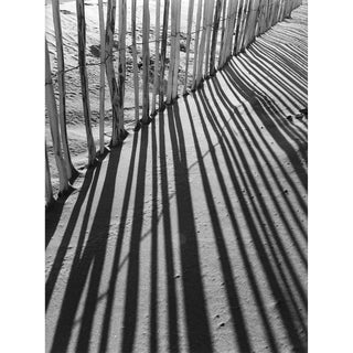 Kodak Professional Tri-X 400 Black and White Negative Film (35mm Roll Film, 36 Exposures)