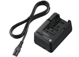 Sony BC-QM1 InfoLithium Battery Charger