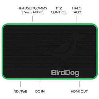 BirdDog Flex 4K Out Full NDI Decoder