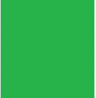 Videoguys ChromaKey Green Studio Kit (3x6 Metres) Videoguys Kit