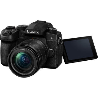 Panasonic Lumix G95 Hybrid Mirrorless Camera with 12-60mm Lens