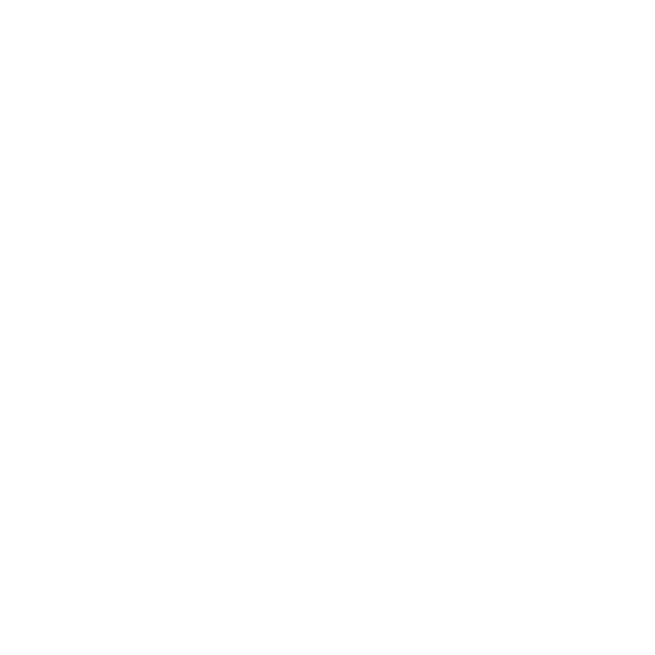 Camcorders & Video Cameras