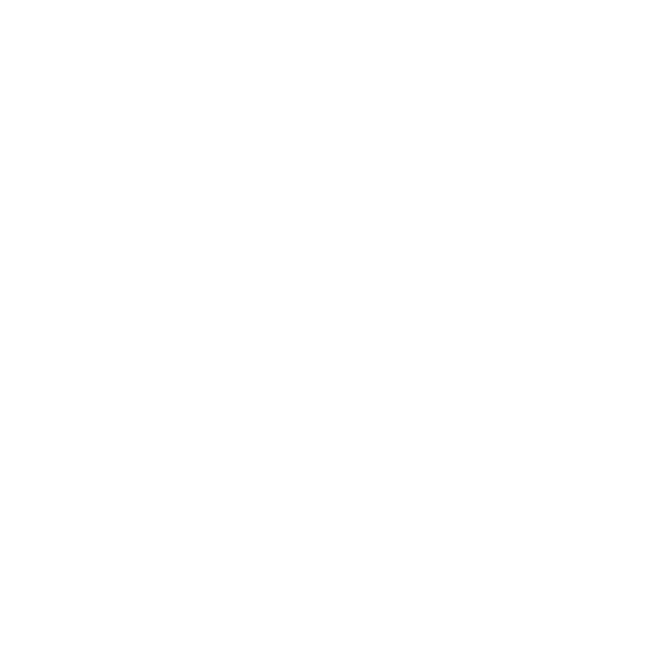 Professional Audio Solutions
