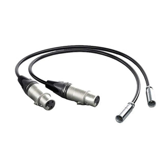 Blackmagic Design Set of 2 Mini XLR to XLR Audio Cables (50cm)