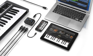 Only iRig interface included