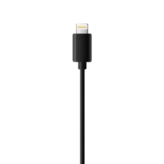 Insta360 ONE R Lightning Cable