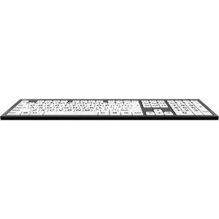 Logickeyboard Nero Braille and Large-Print Keyboard (Windows, White, English)