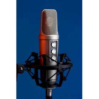 RODE NT2000 Large-Diaphragm Multipattern Condenser Microphone