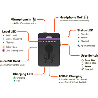 Tentacle Sync Sync E MK2 Timecode Generator with Bluetooth 5.0 (Single Unit)