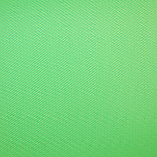 Savage #46 Vinyl Chroma Green Backdrop (2.75m x 3.04m)