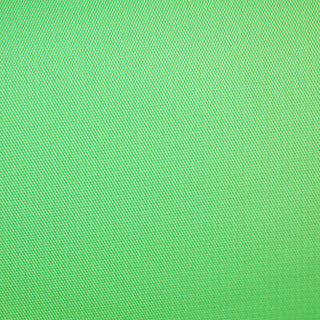 Savage #46 Vinyl Chroma Green Backdrop (2.75m x 3.04m)