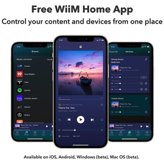 WiiM Mini AirPlay2 Wireless Audio Streamer