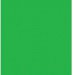 Videoguys ChromaKey Green Studio Kit (3x6 Metres)