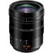 Panasonic Leica DG Vario-Elmarit 12-60mm f/2.8-4 ASPH. POWER O.I.S. Lens