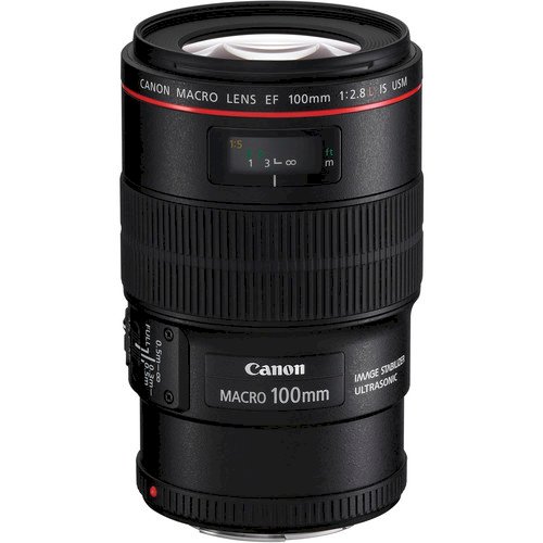 Canon EF 100mm f/2.8L Macro IS USM Lens