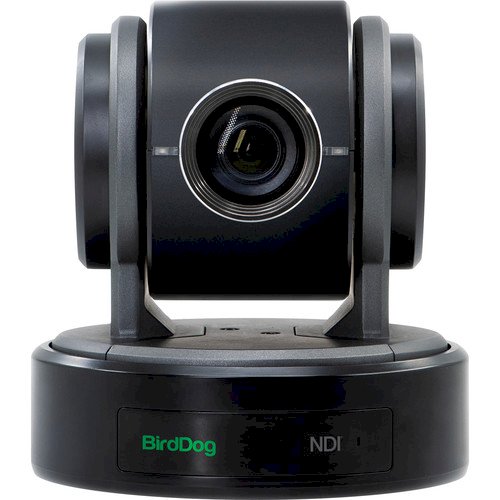 BirdDog Eyes P100 1080p Full NDI PTZ Camera (Black)