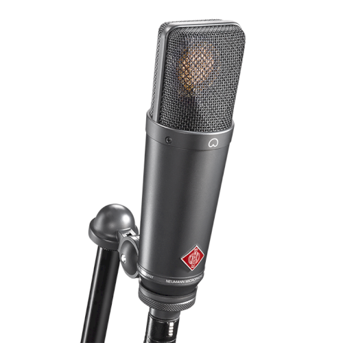 Neumann TLM 193 Large-Diaphragm Cardioid Studio Condenser Microphone