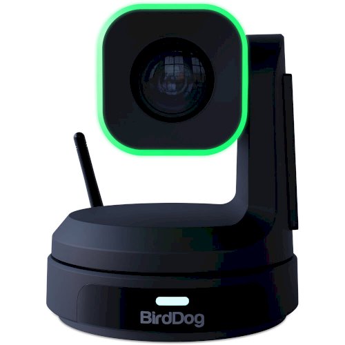 BirdDog X1 PTZ Camera with 20x Zoom (Black)