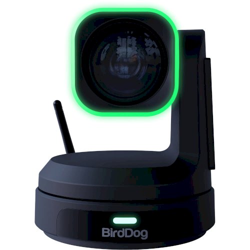 BirdDog X1 Ultra PTZ Camera with 12x Zoom (Black)